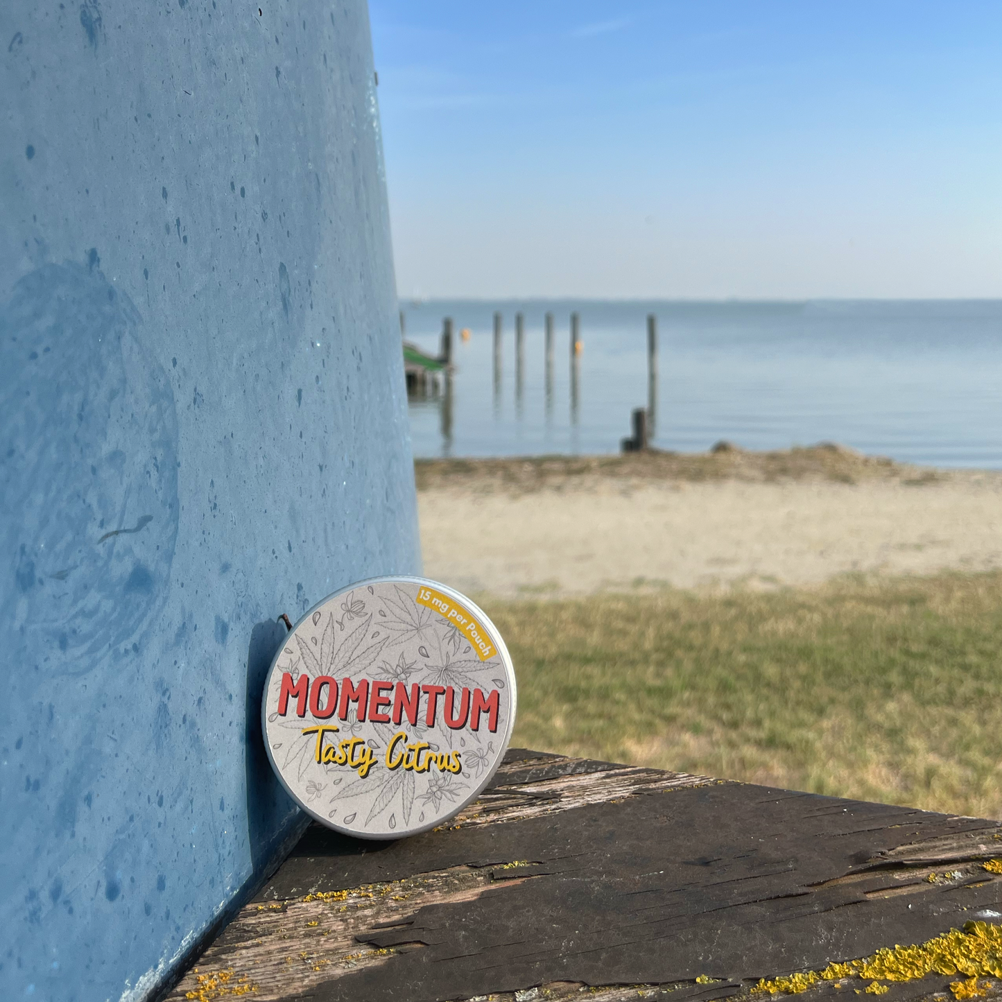 MOMENTUM - Tasty Citrus