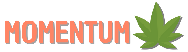 MOMENTUM-Webshop